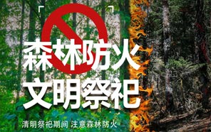 清明節：文明祭奠、預防火災